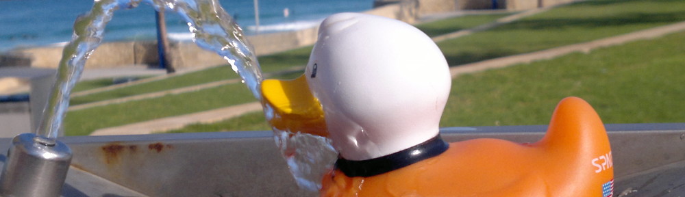 Voyagerduck